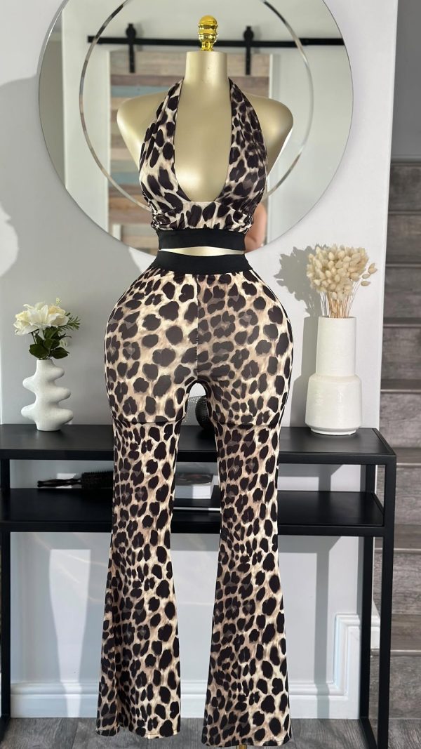 Pant Set