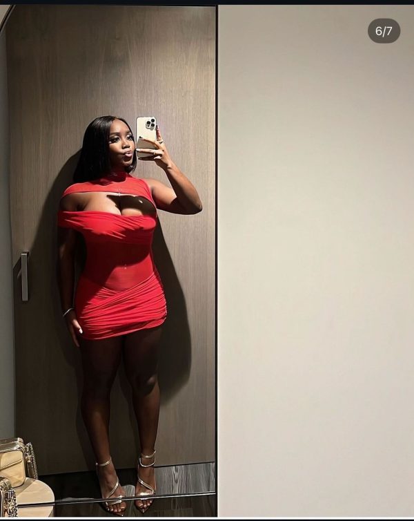 Red mesh mini dress
